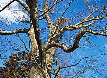 《潜行者2》截图更新：HUD略改 画面更美丽